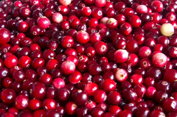 Raw cranberry