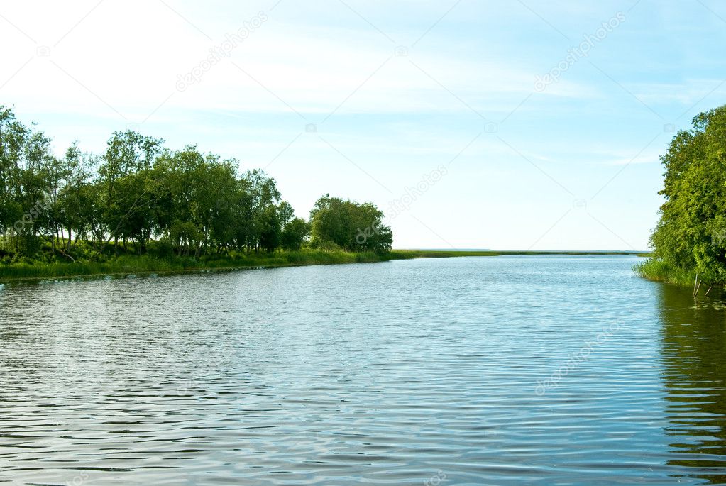 River and trees