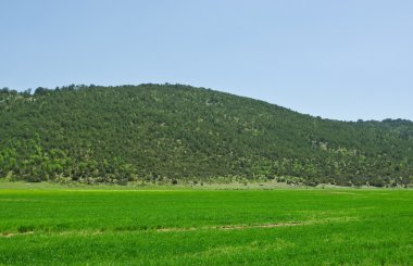 küçük tepe