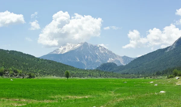 Dağlar