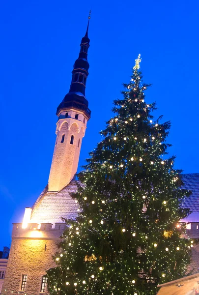 Weihnachtsbaum in Tallinn — Stockfoto