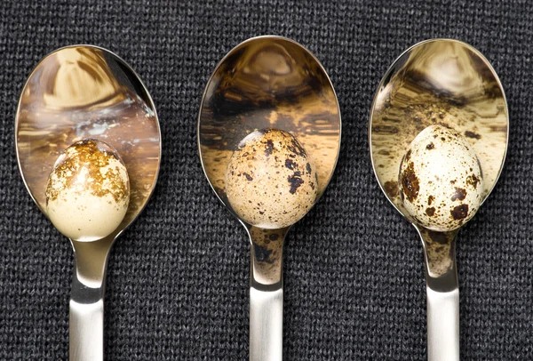 Quail eggs in spoons