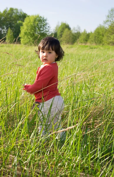Liten flicka stod i högt gräs — Stockfoto