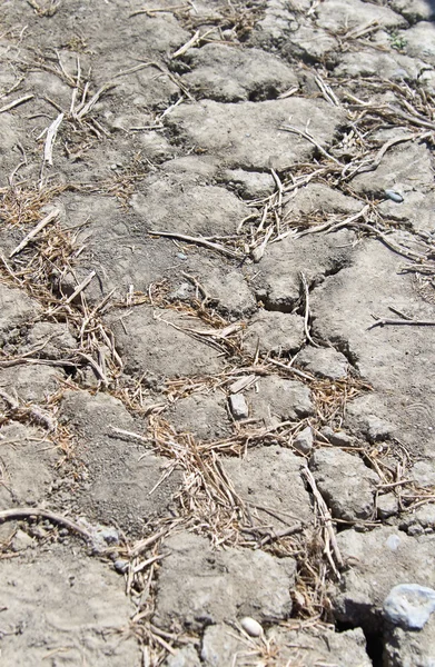 Dry soil — Stock Photo, Image