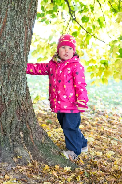 Klein meisje in de buurt van de boom — Stockfoto