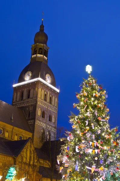 Christmas tree in Riga — Stock Photo, Image