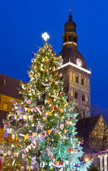 Arbre de Noël près de Riga Cathedral — Photo