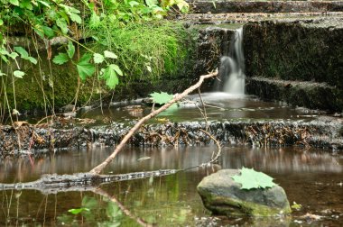 Taş taşları ile akan su