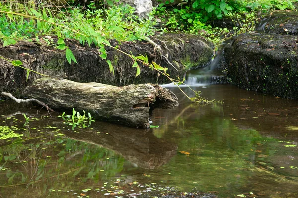 Малый водопад и бревно — стоковое фото