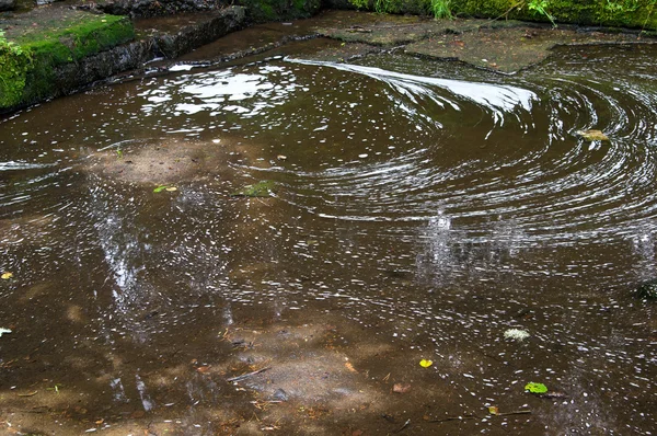 River contamination — Stock Photo, Image