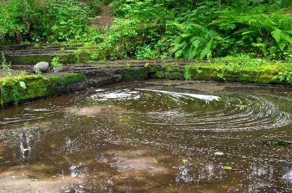 Polluted river — Stock Photo, Image