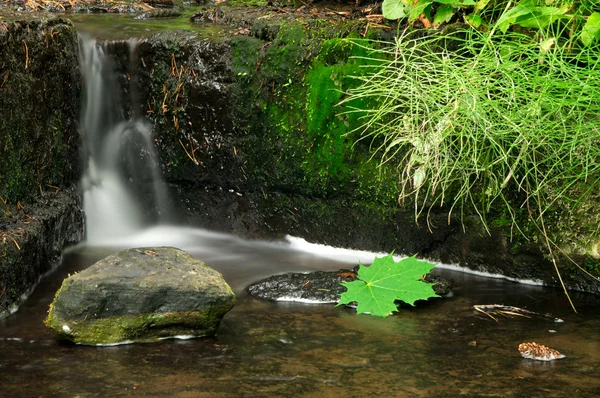 Small waterfall in forest — Stock Photo, Image