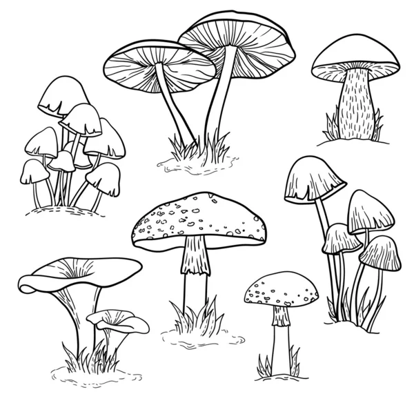 Set met paddestoelen — Stockvector