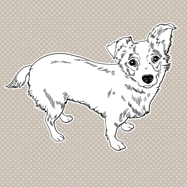 ベクトル犬 — ストックベクタ