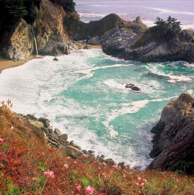Julia Pfeiffer Burns State Park ~ Big Sur, Ca
