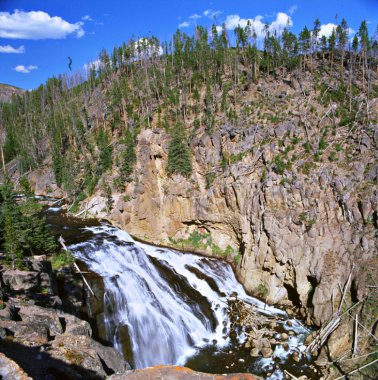 Gibbon Falls ~ Yellowstone Milli Parkı