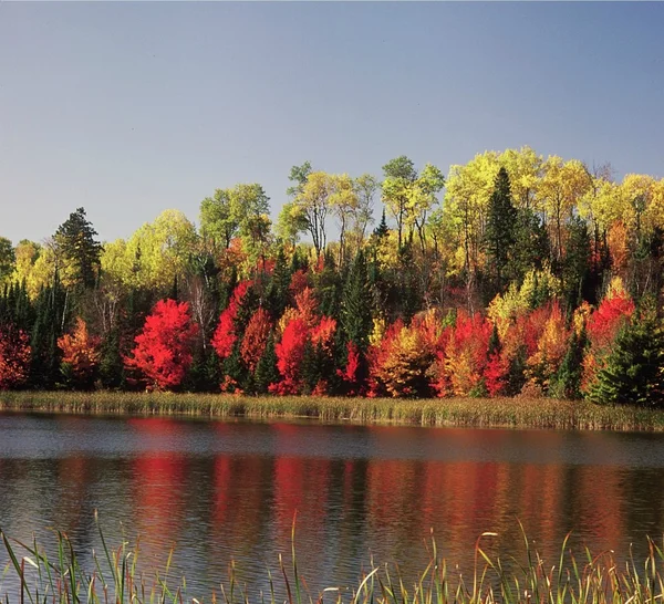 Blind Ash Bay ~ Parc national des Voyageurs — Photo