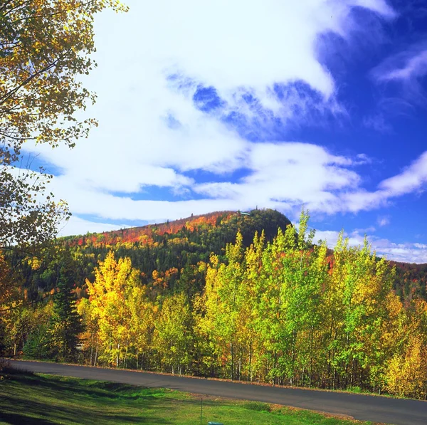 { Moose Mountain Overlook } 스톡 이미지