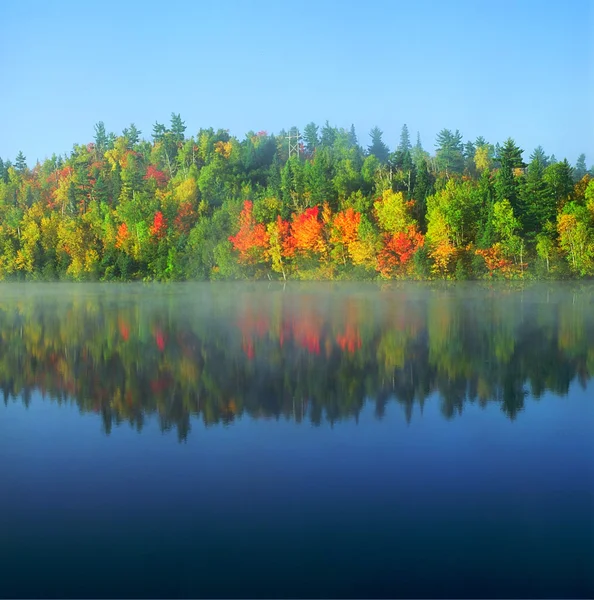 Morning mist reflektioner — Stockfoto