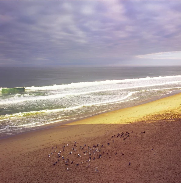 Sunrise At Seaside Beach — Stock Photo, Image