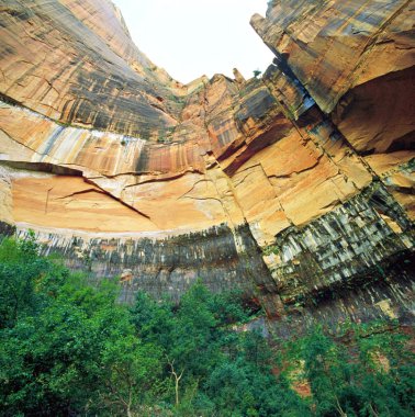 Zion national park