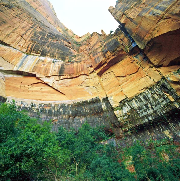 Parque nacional de Zion Imagen De Stock