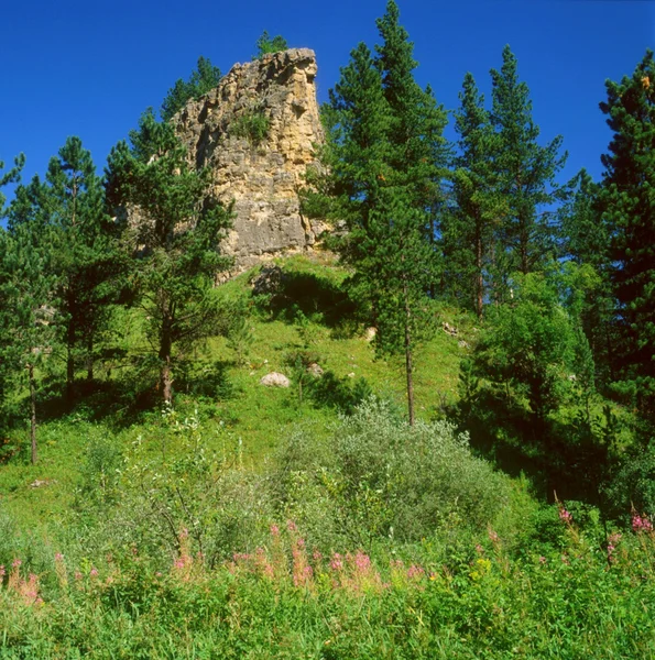 Perspectiva de Spearfish Canyon Imágenes De Stock Sin Royalties Gratis