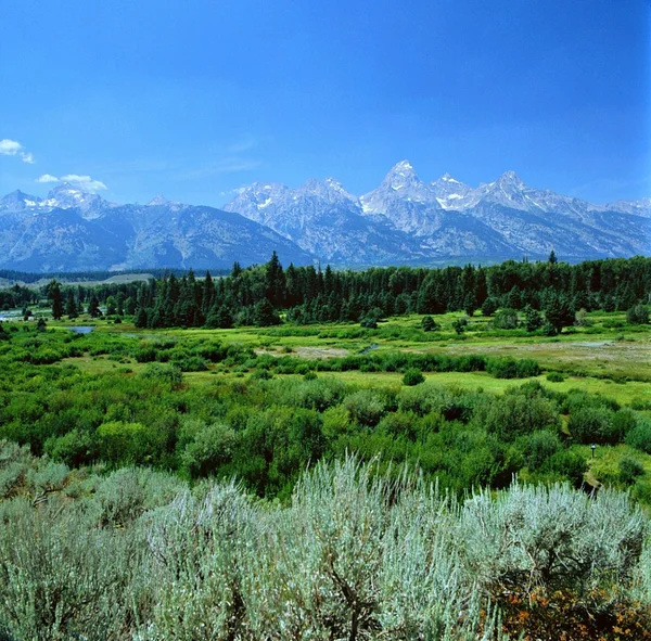 Εθνικό Πάρκο Grand Teton — Φωτογραφία Αρχείου