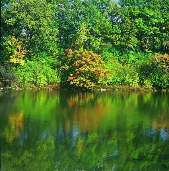 Зеркальное озеро Лицензионные Стоковые Фото