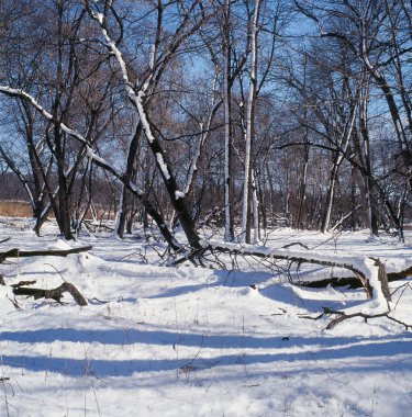 kar, gökyüzü ve gölgeler