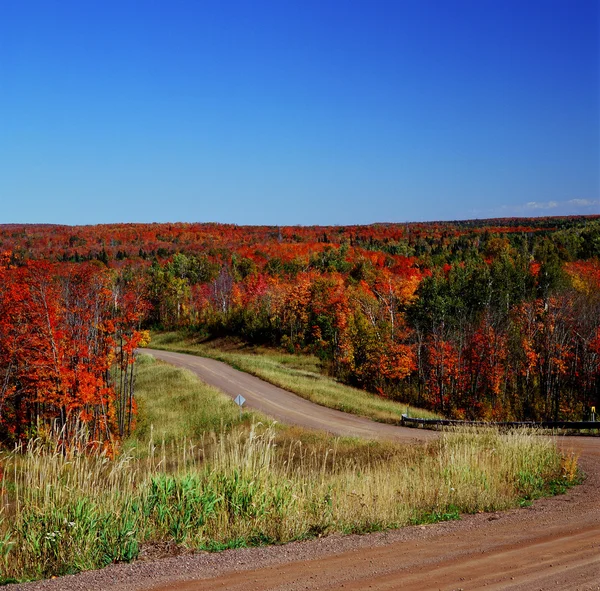 Carrefour d'automne - Forêt nationale supérieure — Photo