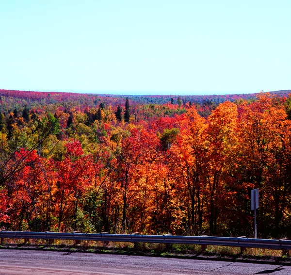 Esplendor en la carretera de otoño —  Fotos de Stock