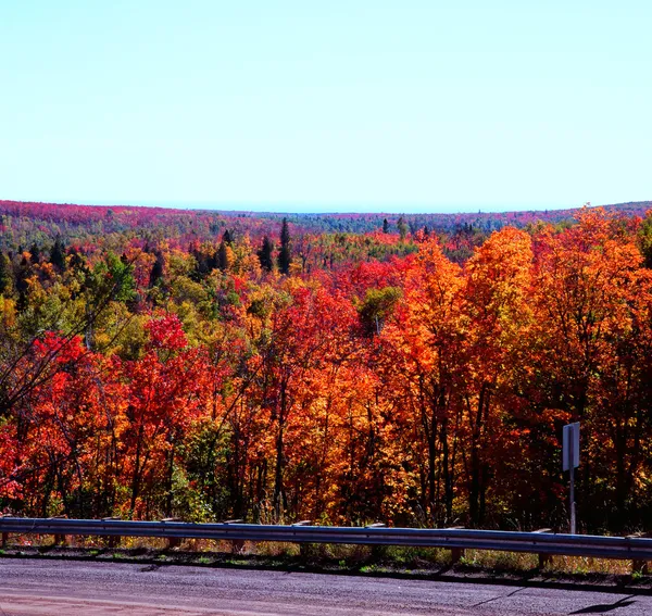 Esplendor en la carretera de otoño Fotos De Stock