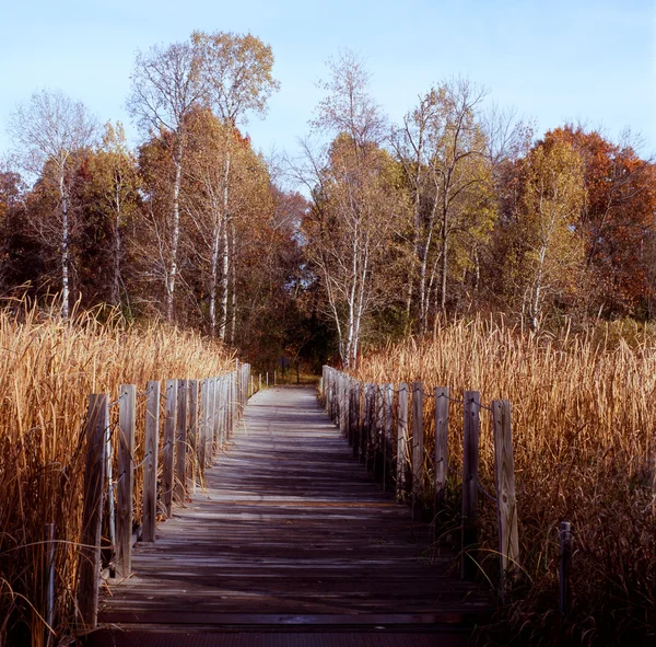 Footbridge Nature Trail - Minnesota