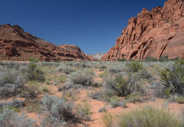 Panorámás Napos Kilátás Jenny Canyon Egységnél Snow Canyon Állami Parkban — Stock Fotó