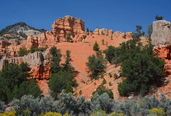 Bright Summer Vista Scenic Red Canyon Collection Prominent Red Rock — Stock Photo, Image