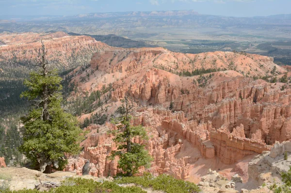 Sunny Late Summer Panoramic Scenic Bryce Point Overlook Bryce Canyon — Stock Photo, Image