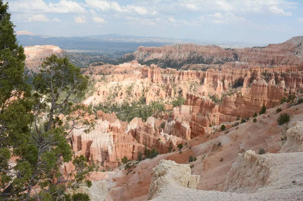 Panorámica Verano Del Majestuoso Anfiteatro Bryce Canyon Desde Alto Del — Foto de Stock