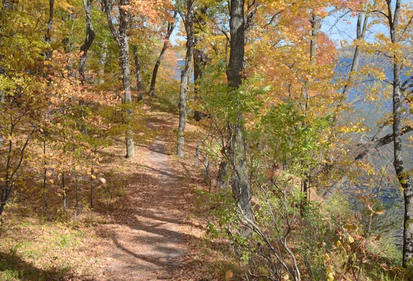 Tranquil Autumn Trail Landscape Lake Carlos State Park Central Minnesota — Stockfoto