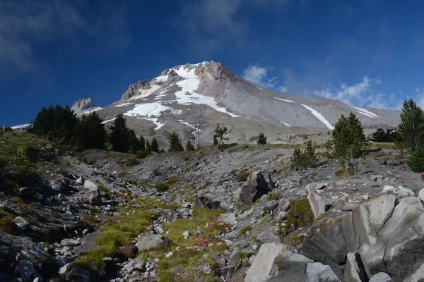 Late Summer Vista Iconic Mount Hood Cascade Range Northern Oregon — Stockfoto