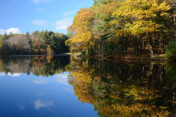 Des Reflets Feuillus Automnaux Éclatants Sur Rivière Chippewa Brunet Island — Photo