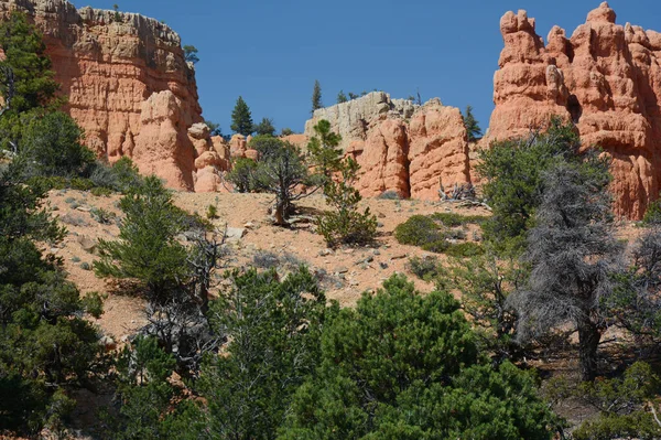 Vibrant Assembly Red Sandstone Formations Dixie National Forest Scenic Byway — Stock Photo, Image