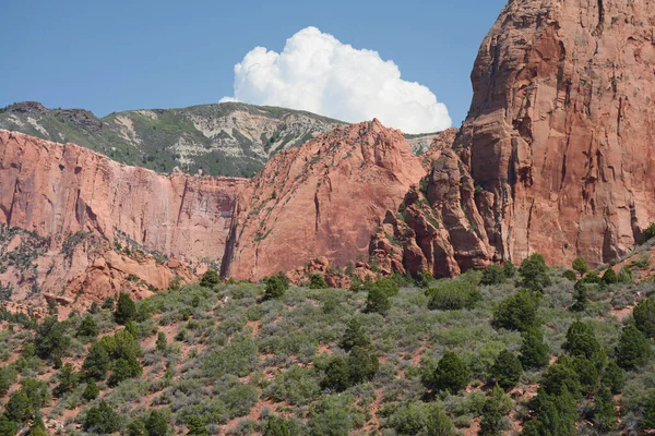 Jasná Letní Vyhlídka Malebné Skalní Útvary Kolob Canyon Rámci Severní — Stock fotografie