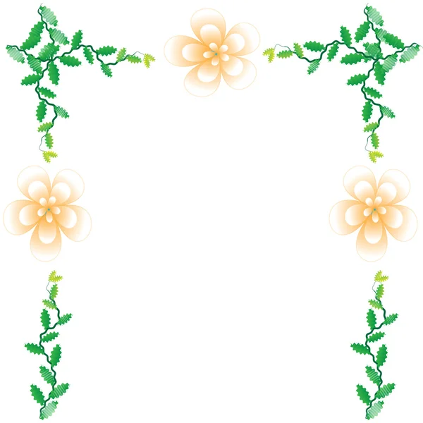 Flower of frame — Stock Photo, Image
