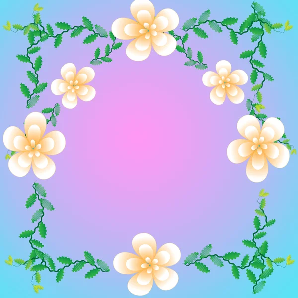 Flower of frame — Stock Photo, Image