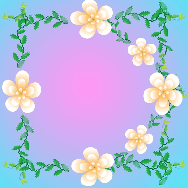 Flower of frame — Stock Photo, Image