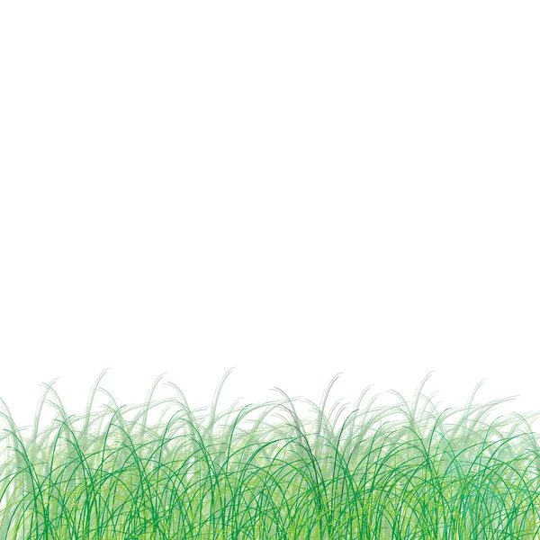 Трава кадру — стокове фото