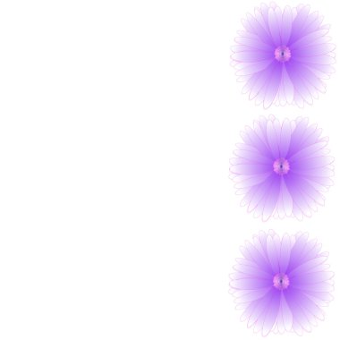 arka plan üzerinde çerçeve çiçek