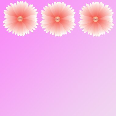 arka plan üzerinde çerçeve çiçek