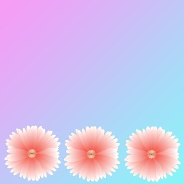 arka plan üzerinde çerçeve çiçek